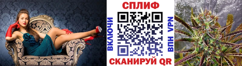 купить наркотик  Щёлково  Бошки марихуана гибрид 